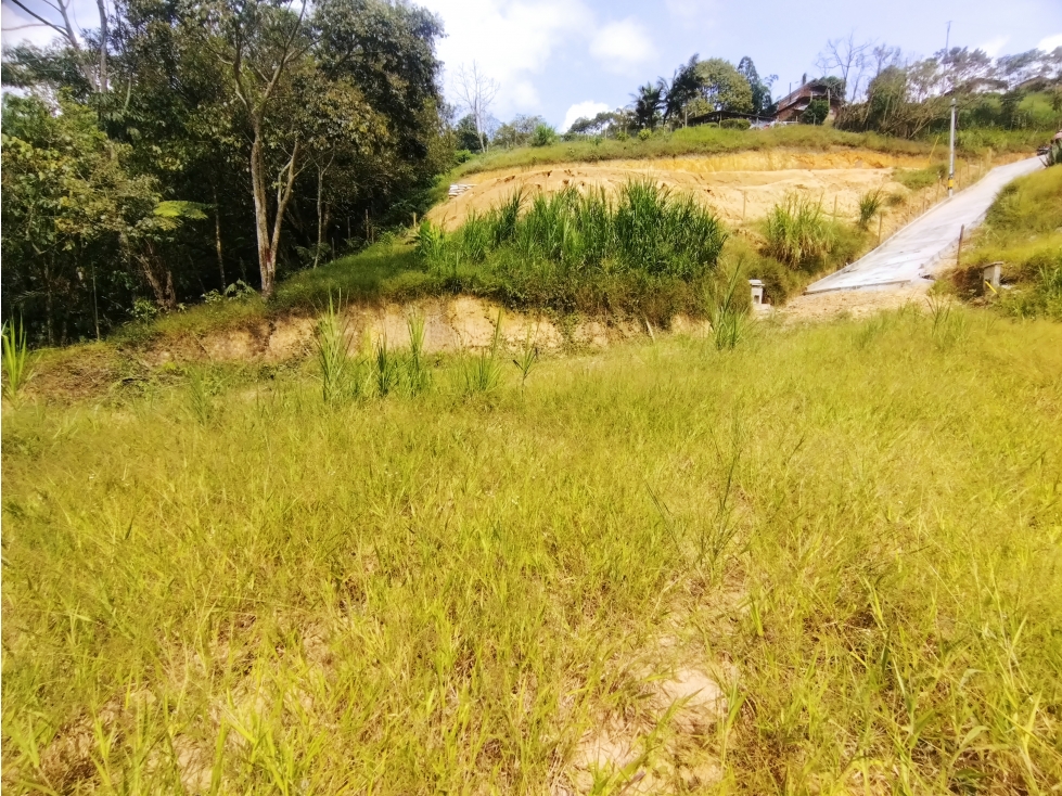 Venta Lote Sabaneta La Doctora (Brisas) P1 C7143497 - 1