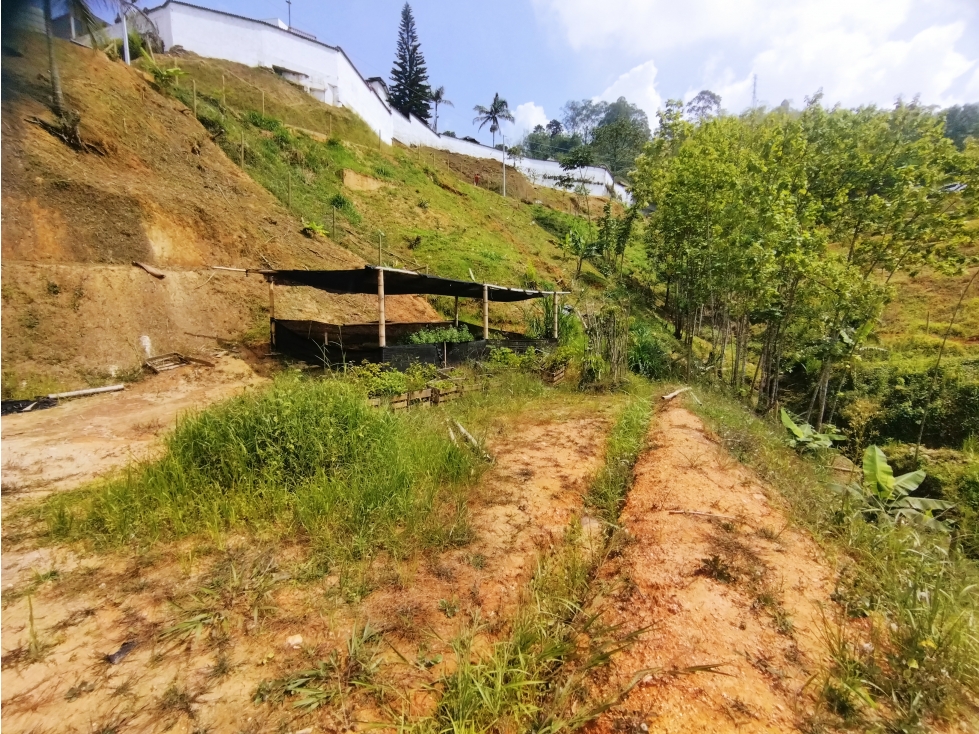 Venta Lote Sabaneta La Doctora (Brisas) P1 C7143520 - 5