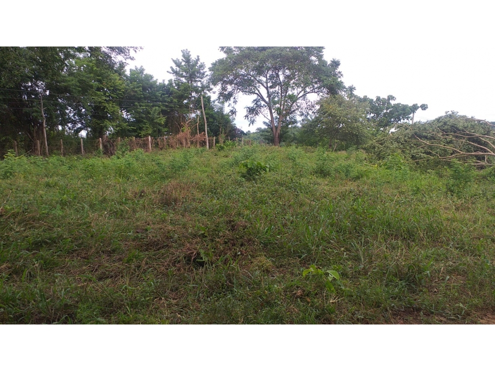Vendo Lote San Antero Cordoba P1 C8131877 - 2
