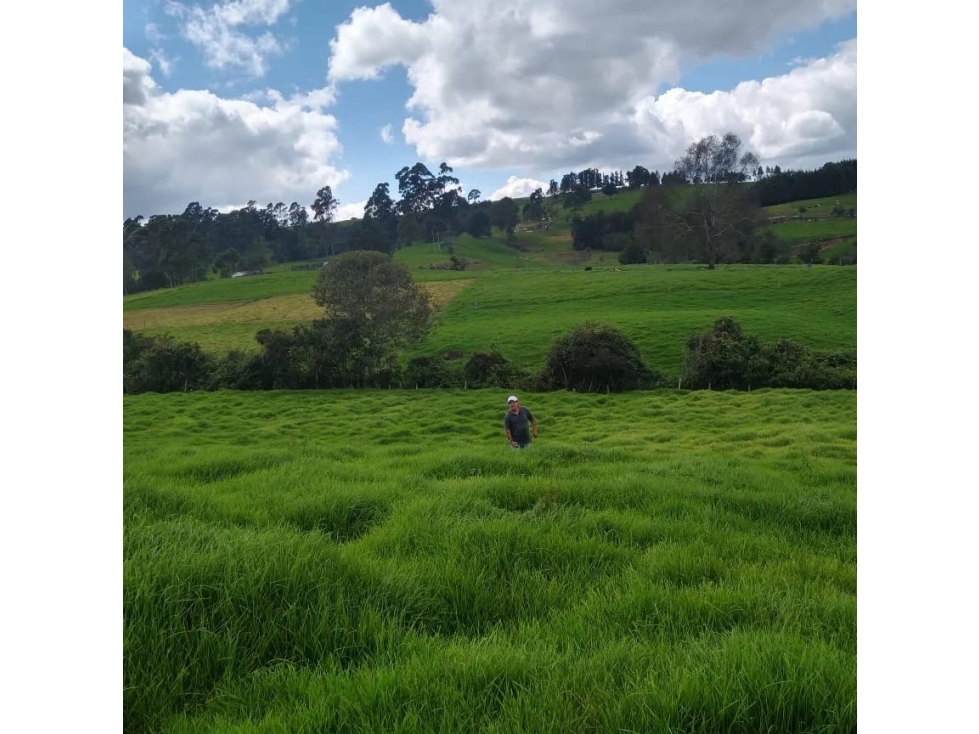 Venta Lote San Pedro de Los Milagros Vereda El Espinal C5573599