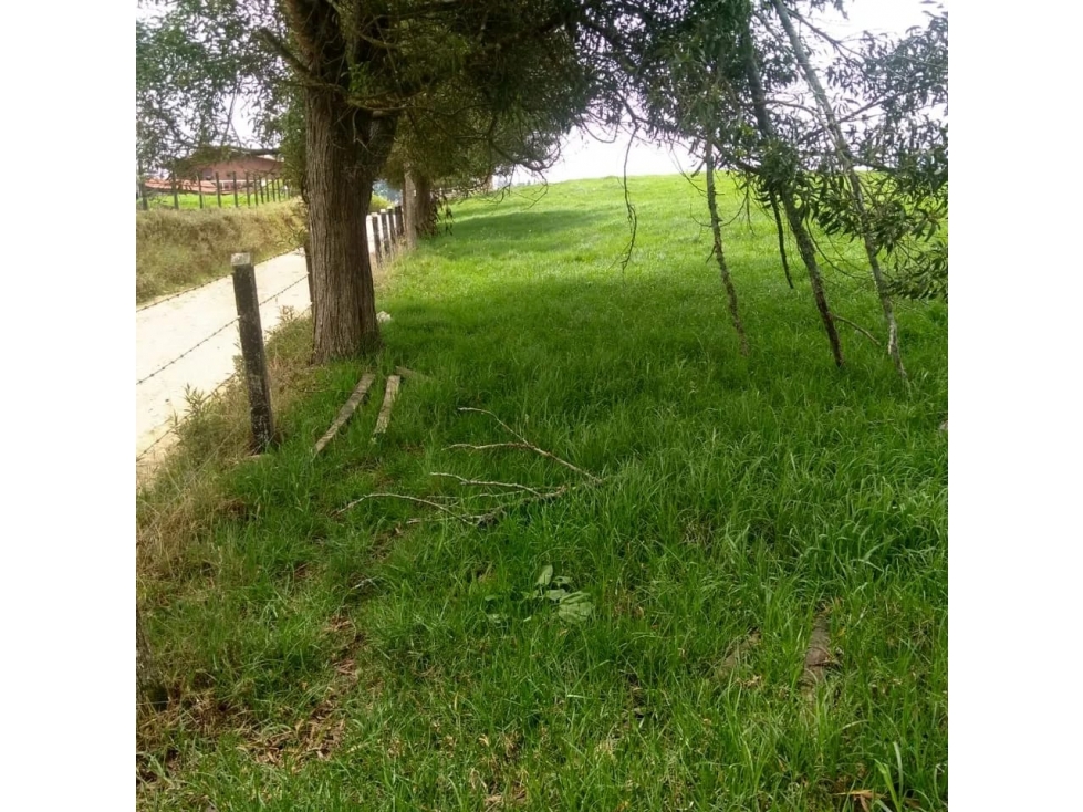 Venta Lote San Pedro de Los Milagros Vereda El Espinal C5573599 — foto 2