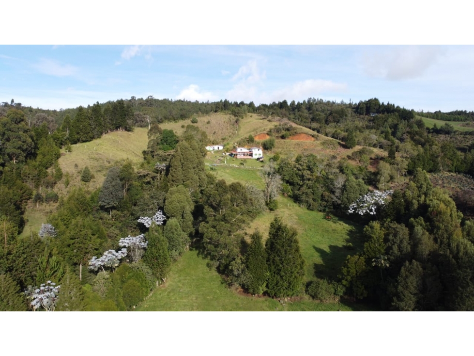 Vendo Finca Santa Elena Parque Arvi C6061895 — foto 6