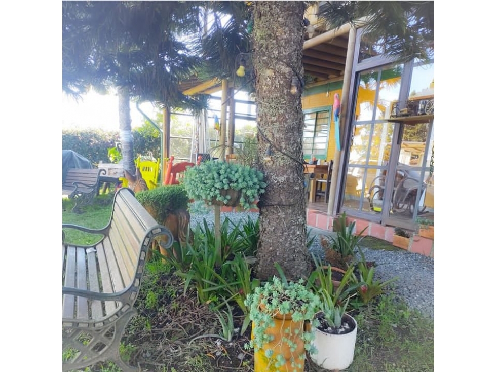 Arriendo/Vendo Finca vereda pantanillo Envigado P1 C7981602 — foto 4