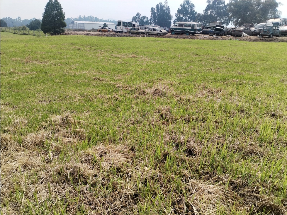 ARRIENDO LOTE SOACHA 8.000 M2 - 1