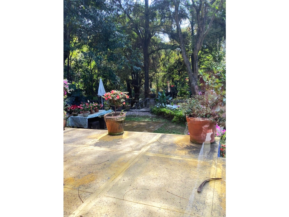 Venta dos casas Un Nivel en Fracc Club de Golf Cuernavaca — foto 2
