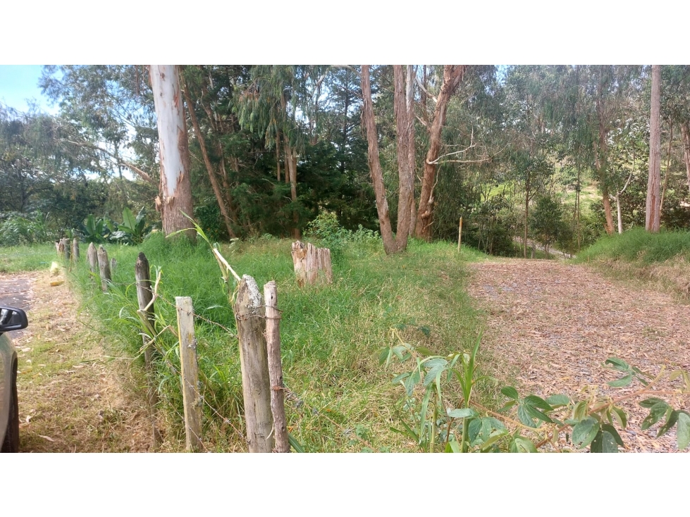 VENTA DE LOTE EN URBANIZACION CERRADA, EN LA CEJA VEREDA EL YARUMO