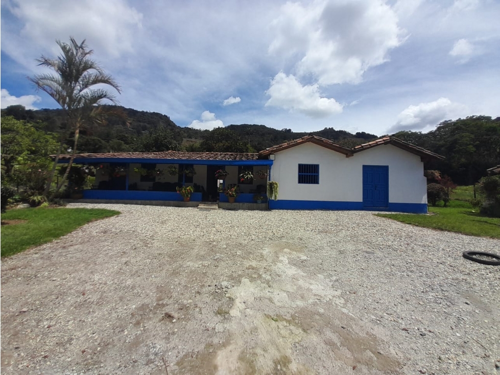 VENTA TERRENO-FINCA, RIONEGRO VDA YARUMAL A 10 MINUTOS DEL AEROPUERTO — foto 5