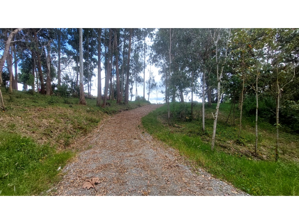VENTA DE LOTE EN URBANIZACION CERRADA, EN LA CEJA VEREDA EL YARUMO — foto 2