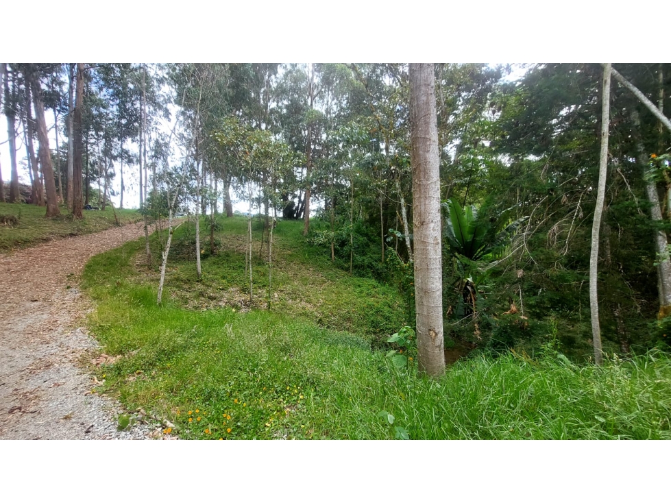 VENTAQ DE LOTE EN UNIDAD CERRADA VEREDA EL YARUMO — foto 2