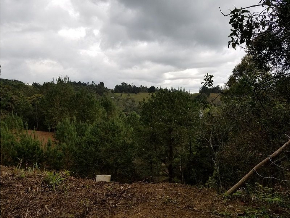 VENTA DE LOTE INDEPENDIENTE EN EL TABLAZO, SECTOR SAJONIA-EL CHAQUIRO