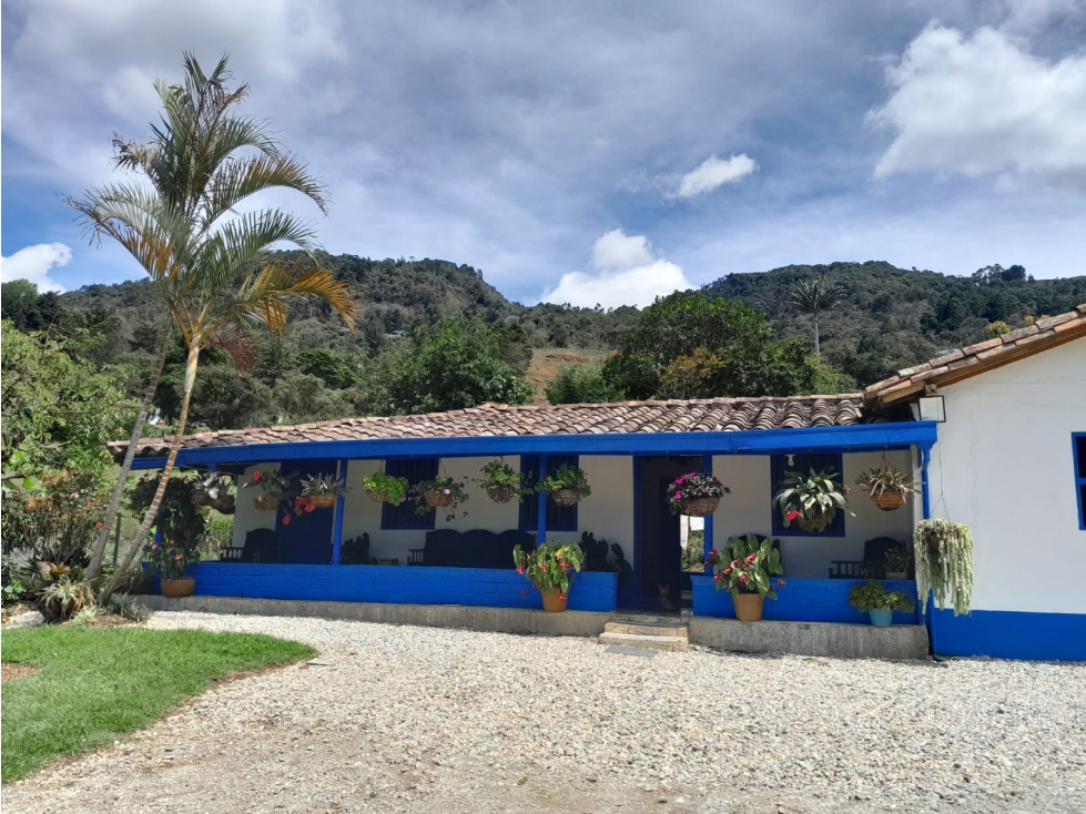 VENTA TERRENO-FINCA, RIONEGRO VDA YARUMAL A 10 MINUTOS DEL AEROPUERTO — foto 6