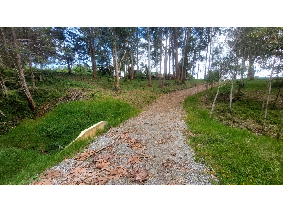 VENTA DE LOTE EN URBANIZACION CERRADA, EN LA CEJA VEREDA EL YARUMO — foto 3