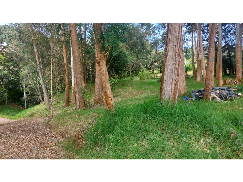 VENTAQ DE LOTE EN UNIDAD CERRADA VEREDA EL YARUMO — foto 3