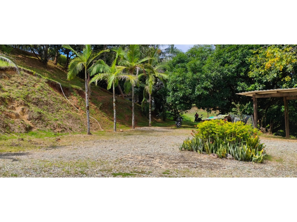 VENTA DE FINCA,SAN JERONIMO, VDA LOMA HERMOSA — foto 3