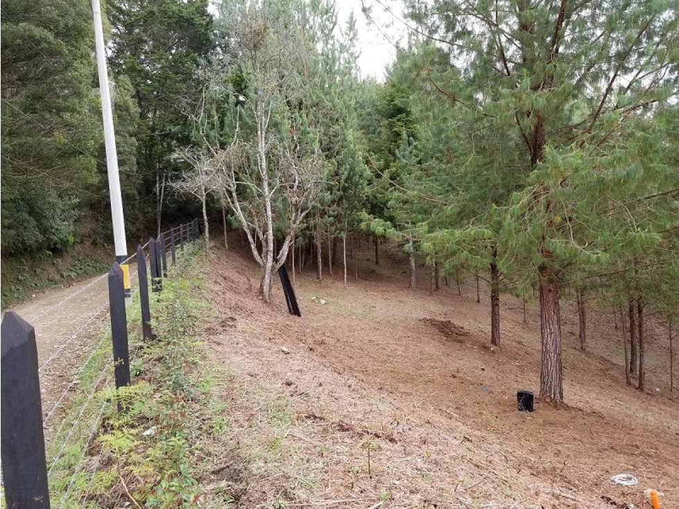 VENTA DE LOTE INDEPENDIENTE EN EL TABLAZO, SECTOR SAJONIA-EL CHAQUIRO — foto 2