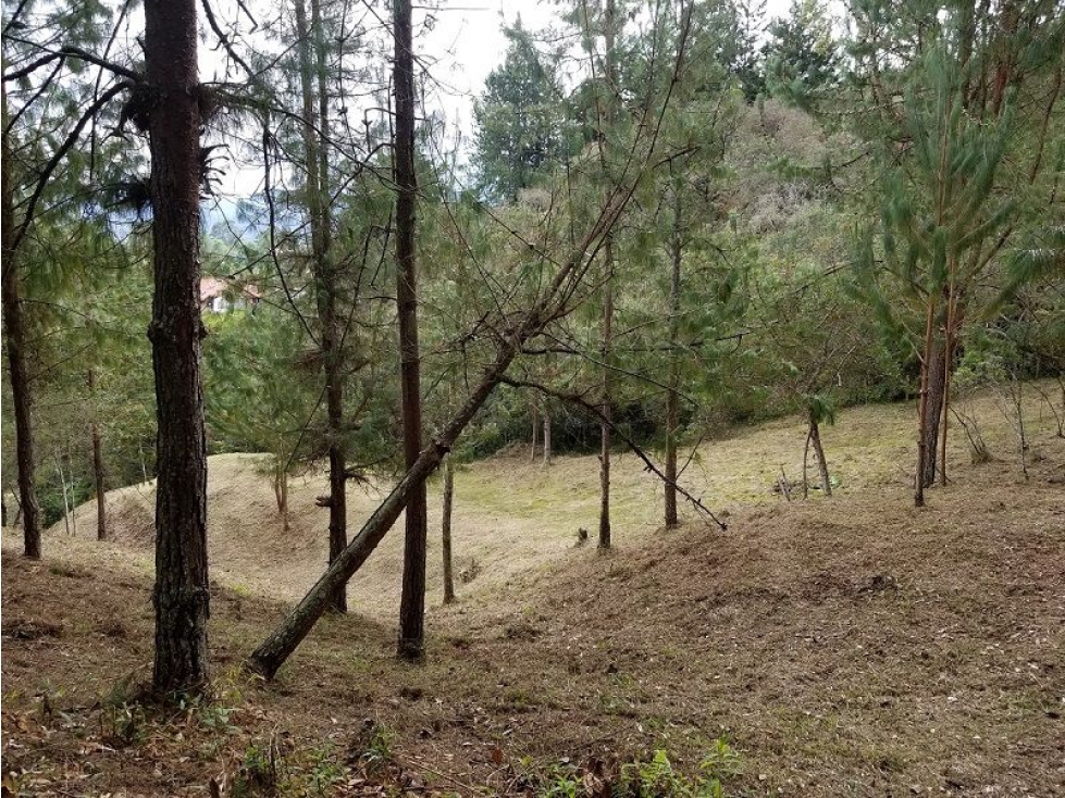 VENTA DE LOTE INDEPENDIENTE EN EL TABLAZO, SECTOR SAJONIA-EL CHAQUIRO — foto 5
