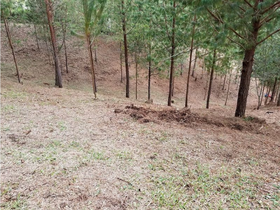 VENTA DE LOTE INDEPENDIENTE EN EL TABLAZO, SECTOR SAJONIA-EL CHAQUIRO — foto 6