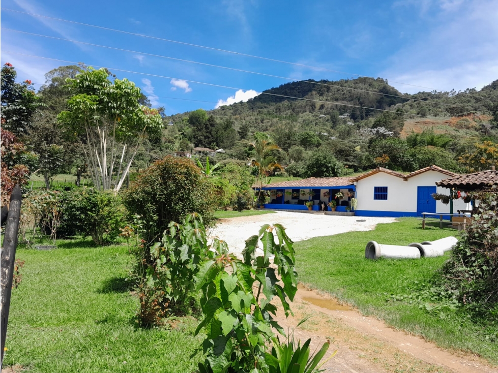 VENTA TERRENO-FINCA, RIONEGRO VDA YARUMAL A 10 MINUTOS DEL AEROPUERTO