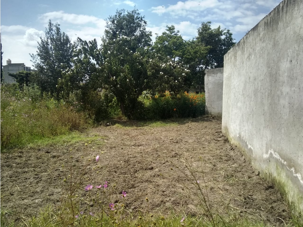 venta terreno con casa en obra blanca a mitad de precio - 4