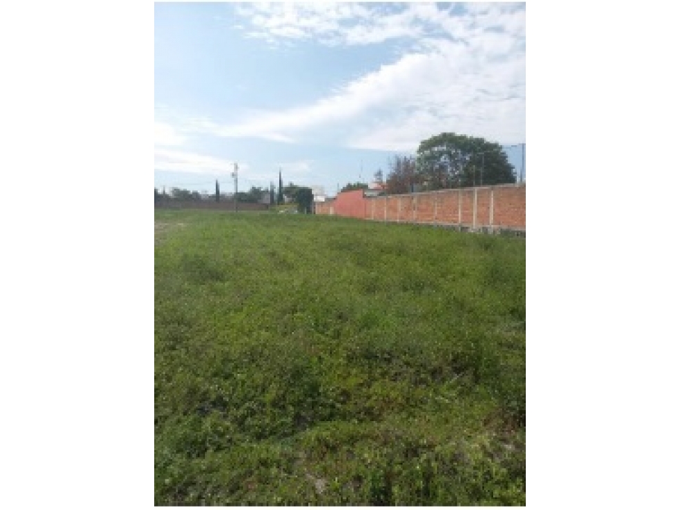 VENTA DE TERRENO AMANALCO SAN BERNARDINO TLAXCALANCINGO PUEBLA - 2