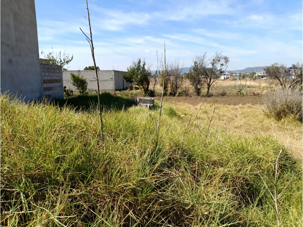 venta lote santa cruz,tetela colinda con la magdalena tlaltelulco - 2