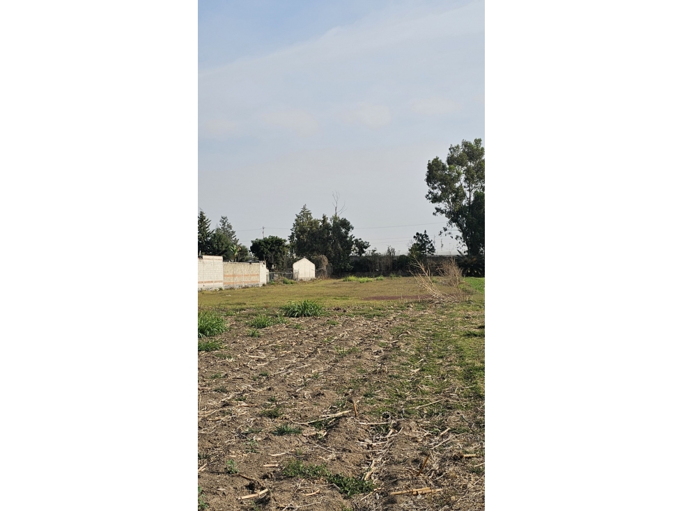 VENTA DE TERRENO SANTA CLARA OCOYUCAN PUEBLA - 2