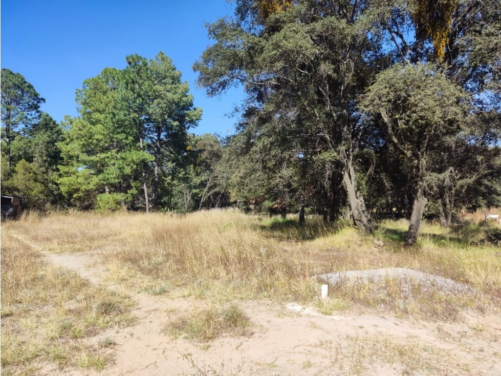 Excelente lote en venta Santa Cruz Tlaxcala - 3