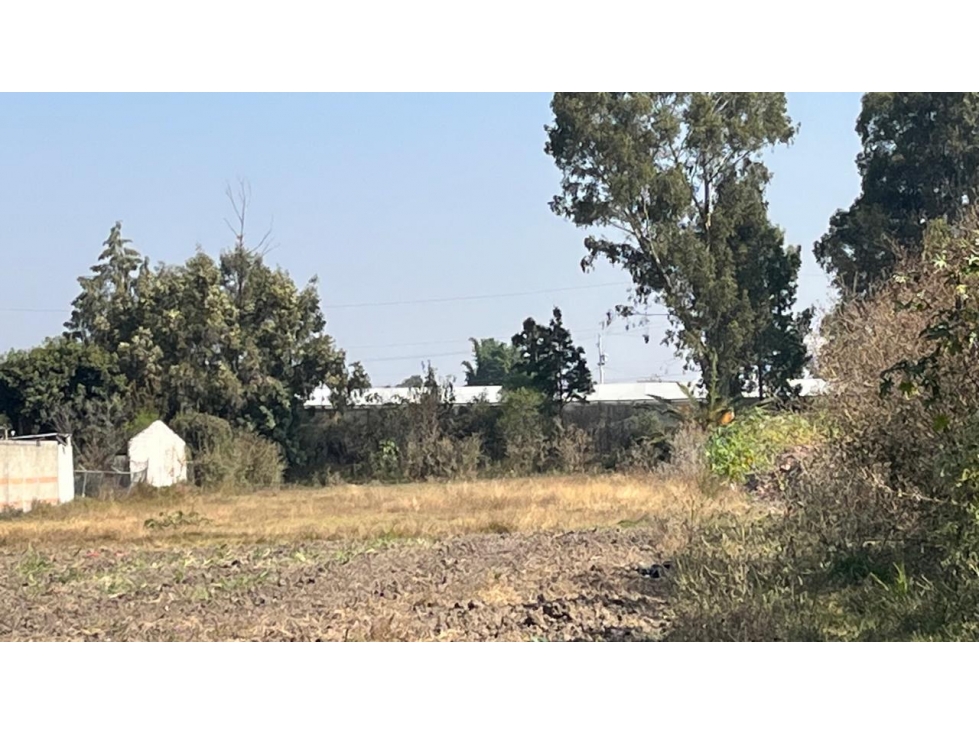 VENTA DE TERRENO SANTA CLARA OCOYUCAN PUEBLA - 3