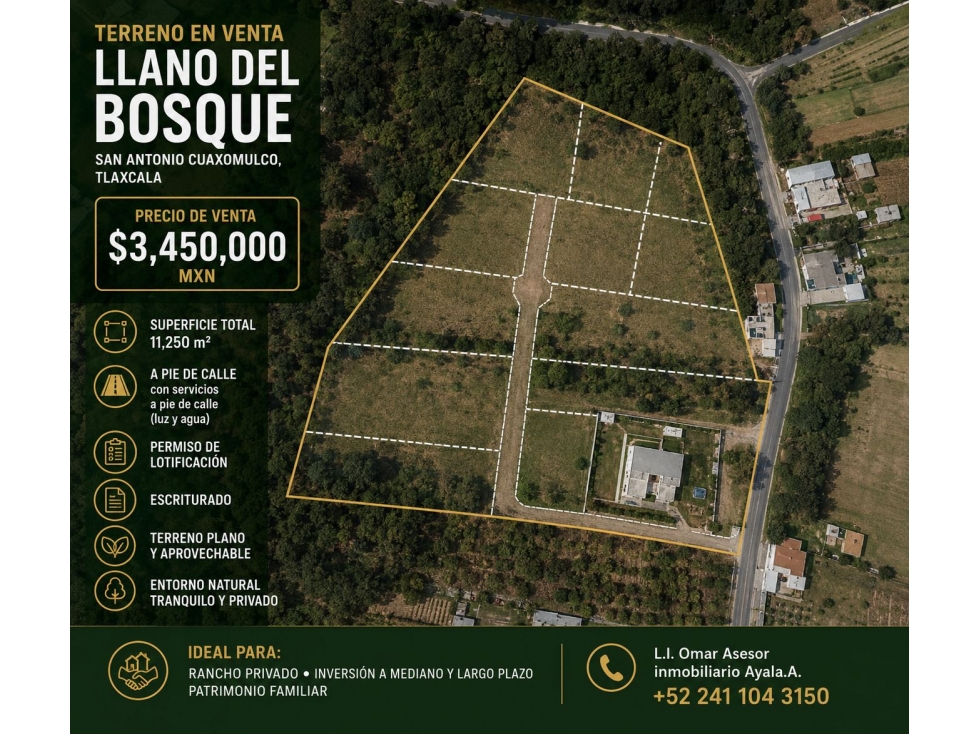 Por Lotes o COMPLETO en venta Cuaxomulco, Tlax - 2