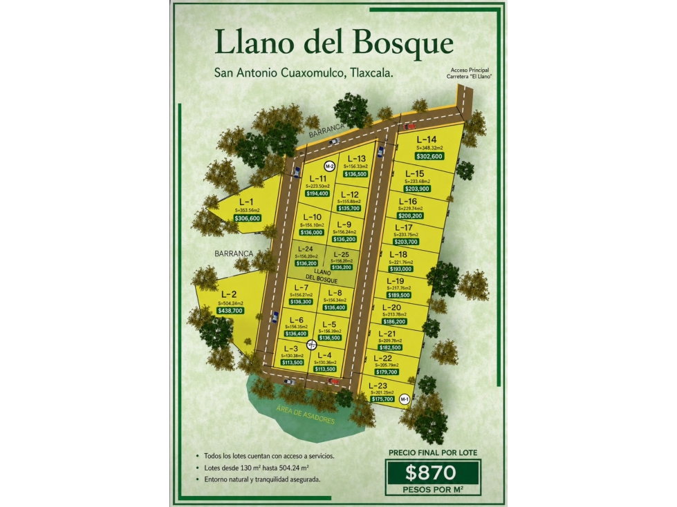 Por Lotes o COMPLETO en venta Cuaxomulco, Tlax - 3