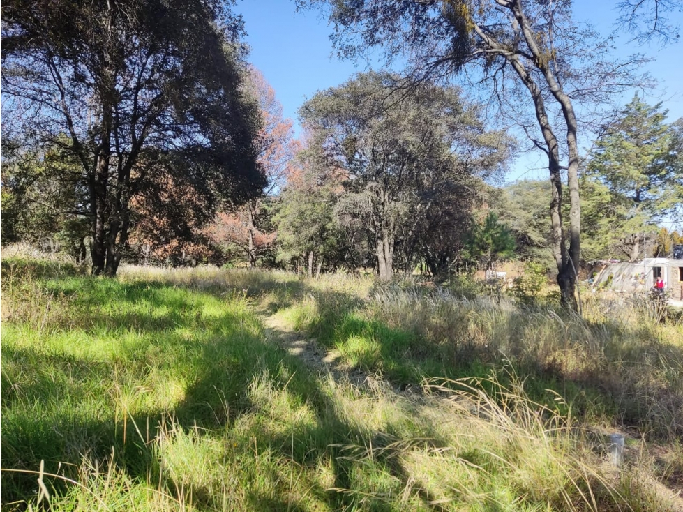 Excelente lote en venta Santa Cruz Tlaxcala - 4
