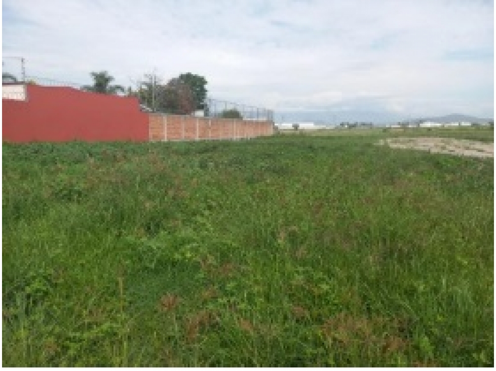 VENTA DE TERRENO AMANALCO SAN BERNARDINO TLAXCALANCINGO PUEBLA - 4