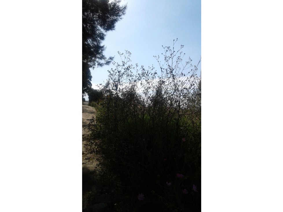 OPORTUNIDAD TERRENO COSTADO GALERÍAS TLAX. - 5