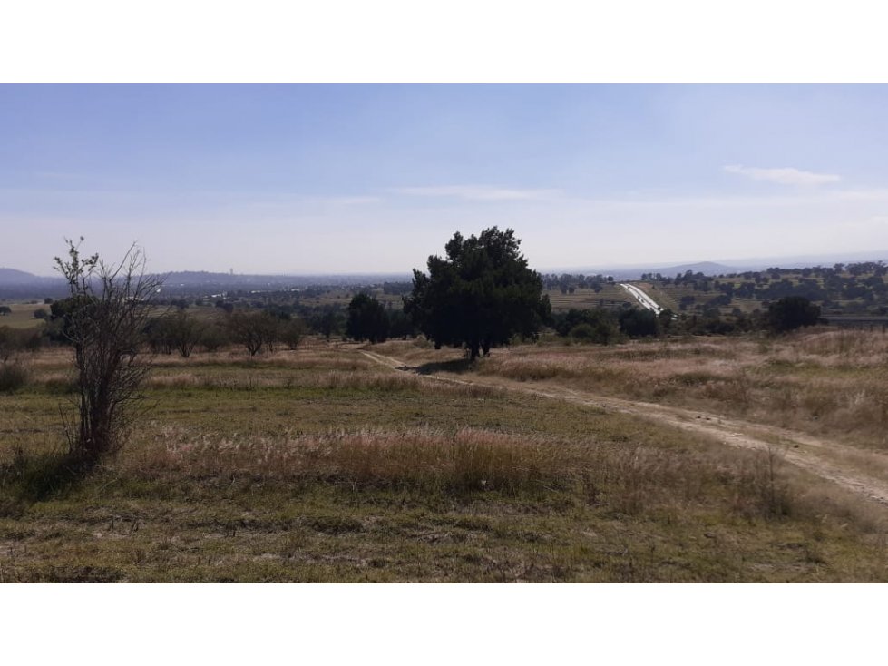 OPORTUNIDAD 3.8 HECTÁREAS IXTACUIXTLA.TLAXCALA. - 5