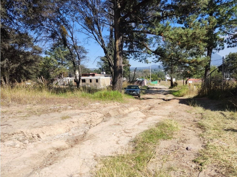 Excelente lote en venta Santa Cruz Tlaxcala - 5