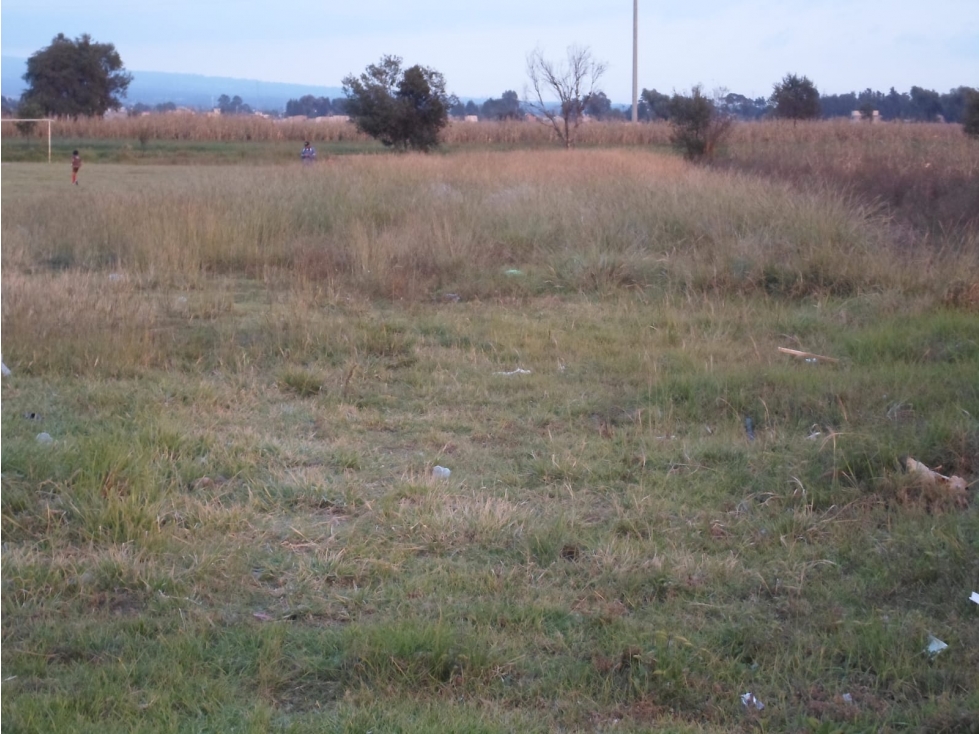 TERRENO EN VENTA CAMINO REAL ZACATELCO TLAXCALA - 3