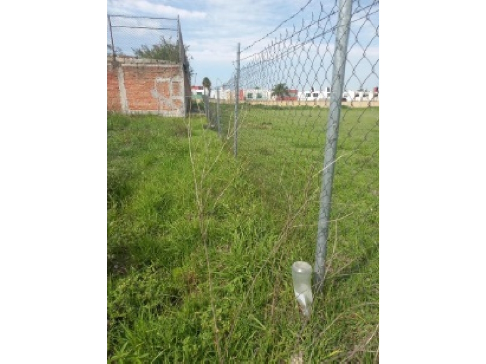 VENTA DE TERRENO AMANALCO SAN BERNARDINO TLAXCALANCINGO PUEBLA - 5