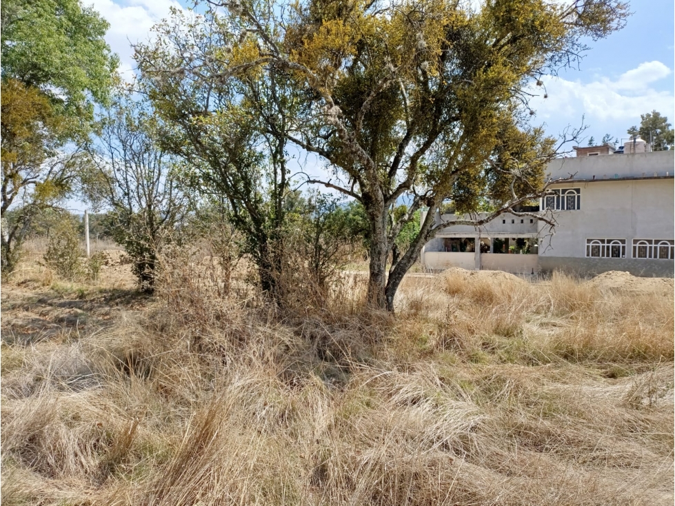 TERRENO EN VENTA EN BELEN ATZITZIMITITLÁN TLAXCALA. - 5