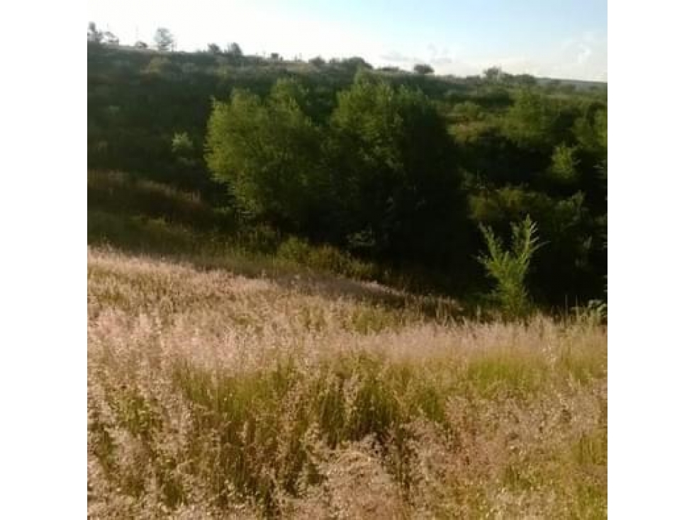 Opotunidad de inversión, terreno de 7484 m2 en Bialet Masse - 2