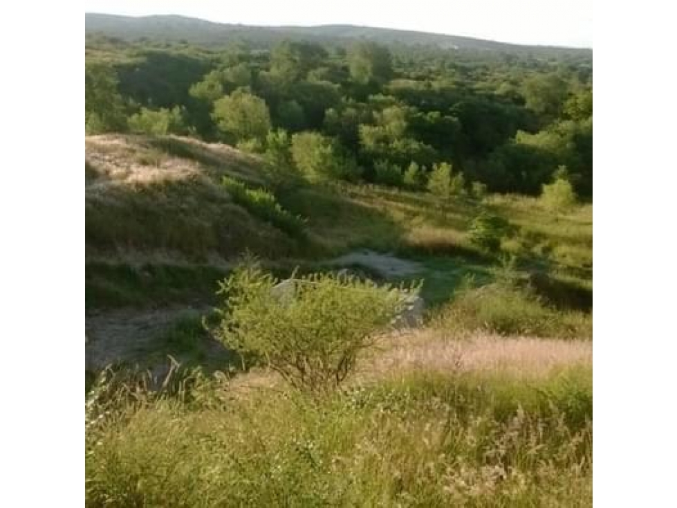 Opotunidad de inversión, terreno de 7484 m2 en Bialet Masse - 3