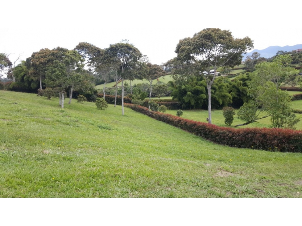 Lote en unidad cerrada - Rionegro - Llanogrande — foto 2