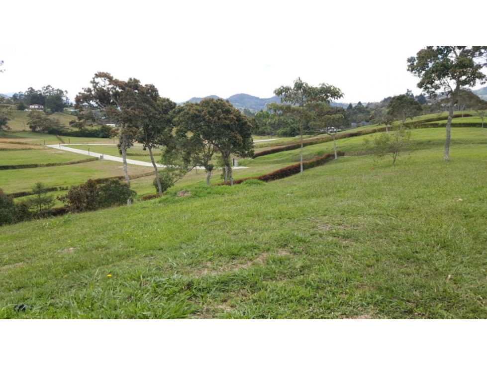 Lote en unidad cerrada - Rionegro - Llanogrande — foto 5