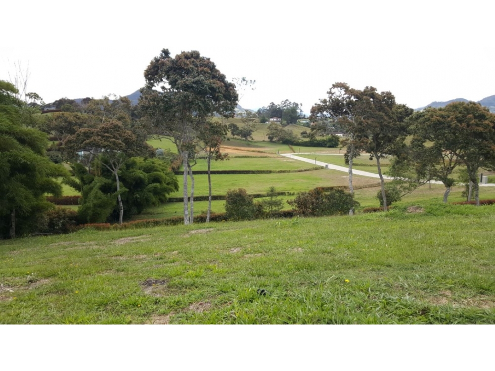 Lote en unidad cerrada - Rionegro - Llanogrande — foto 6