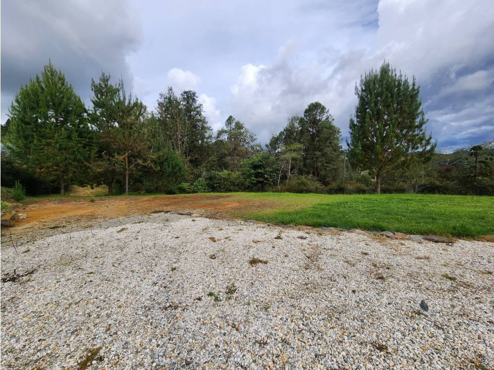 Finca independiente en El Retiro- Via Don Diego La Ceja — foto 6