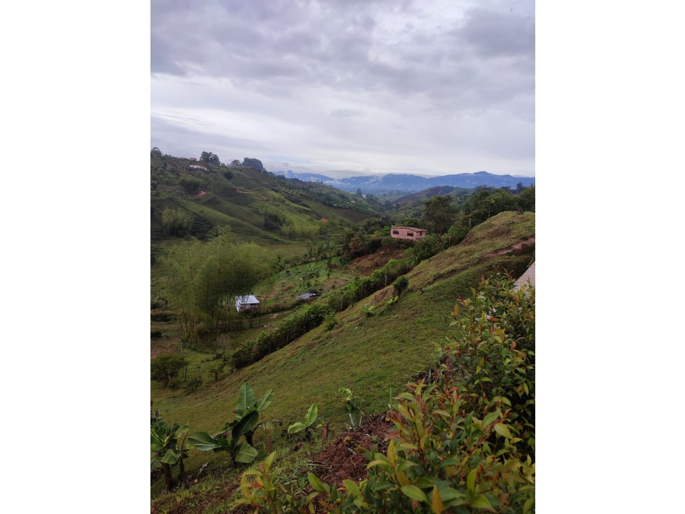 COD: 4132 -- Terreno - Peñol, Guatape — foto 5