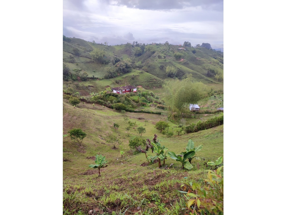 COD: 4132 -- Terreno - Peñol, Guatape — foto 2
