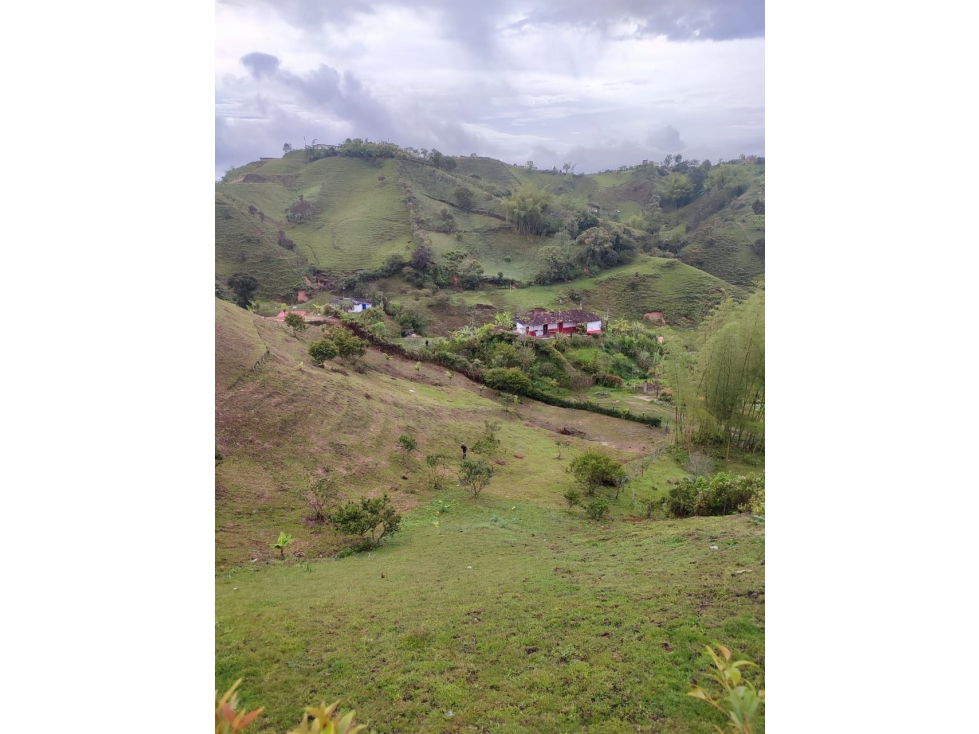 COD: 4132 -- Terreno - Peñol, Guatape — foto 3