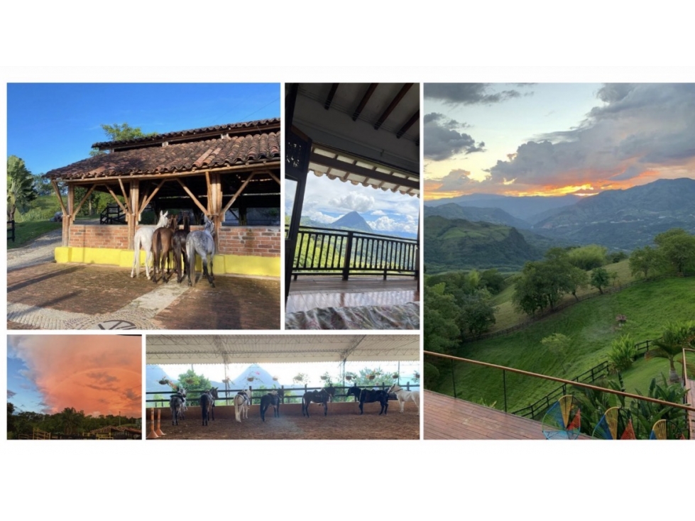SE VENDE ESPECTACULAR FINCA GANADERA, VENECIA ANTIOQUIA — foto 2