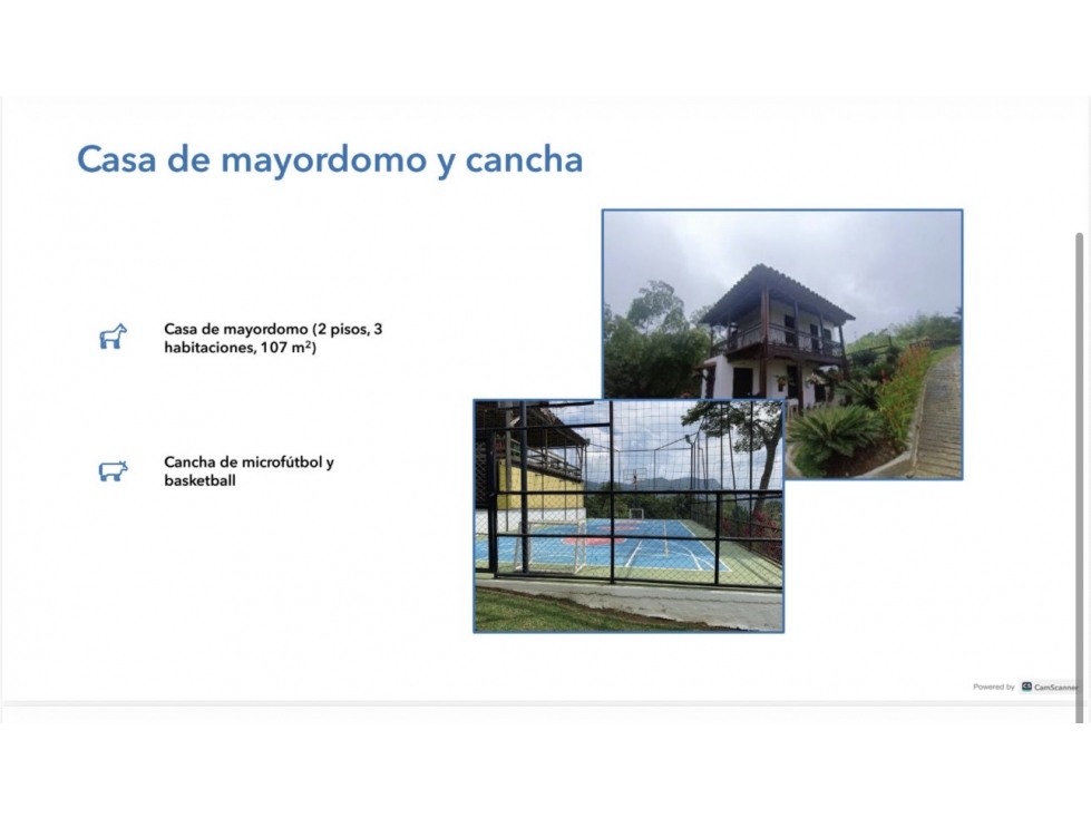 SE VENDE ESPECTACULAR FINCA GANADERA, VENECIA ANTIOQUIA — foto 6