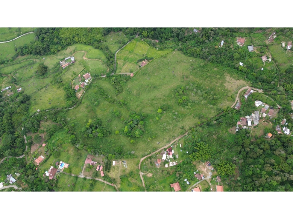 LOTE 11.76 HECTAREAS EN PALERMO, TAMESIS, ANTIOQUIA. - 2